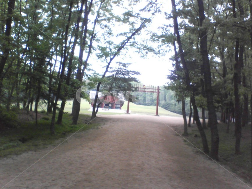 공원,고건물,경치,숲,나무,park,pond,landscape,tree,forest,자연,풍경,nature,landscape,outdoors,옥외,garden,정원,arbour,정자