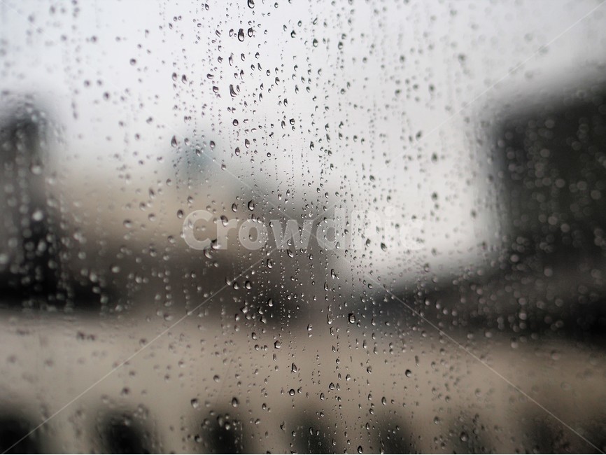 여름비,사무실풍경,비,창문,아웃포커싱,늦여름비,비,비오는날,rain,rainy