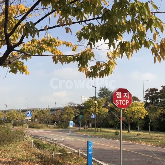 공원,나무,하늘,가을,자연,park,tree,fall,sky,cloud,구름,stop