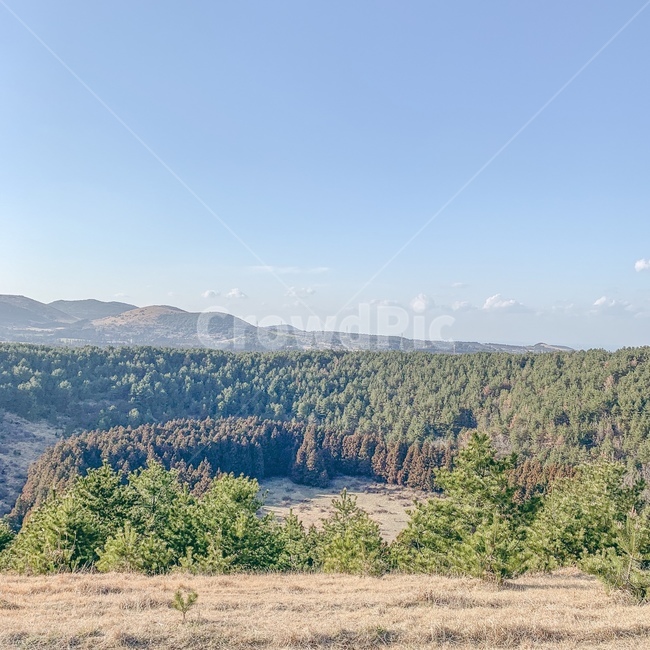 자연,산,오름,숲,푸릇함,자연,풍경,nature,landscape,tree,나무,plant,식물,fir,전나무