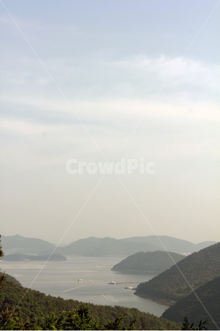 섬,바다,하늘,자연,풍경,전남,자연,풍경,nature,landscape,tree,나무,plant,식물