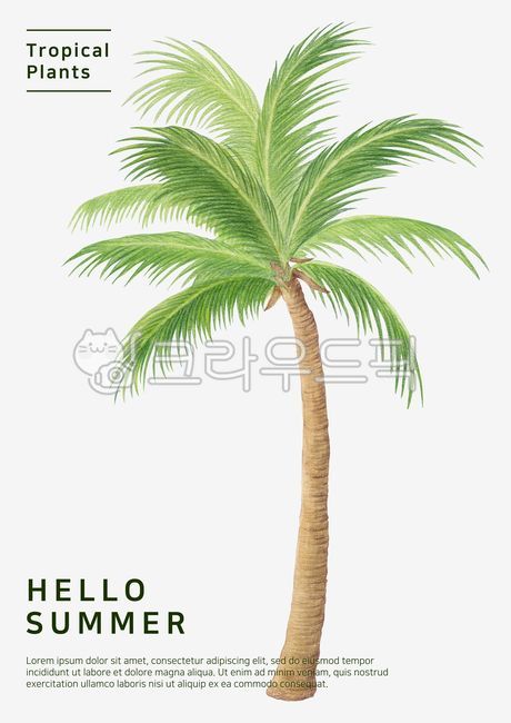 일러스트,수채화,색연필,색연필화,그림,드로잉,수작업,여름,식물,열대,트로피컬,열대식물,자연,나무,야자수,야자나무,나뭇잎,잎,illustration,colored,pencil,drawing,hand,drawn,summer,plant,tropical,nature,palm,tree,green