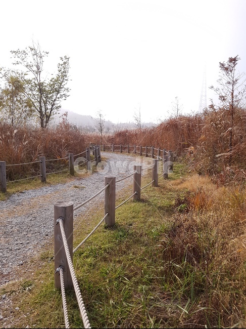 자갈,바닥,ground,흙길,road,풍경,옥외,outdoors,nature,natural,자연,풍경,nature,landscape,dirt road,도로,gravel
