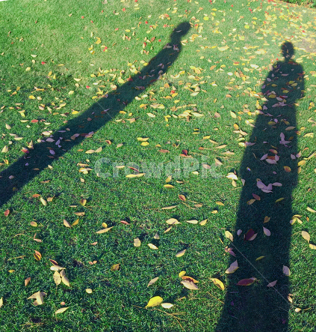자연,사람,풍경,쓸쓸한,가을,외로움,낙엽,가을,계절,fall,autumn,season