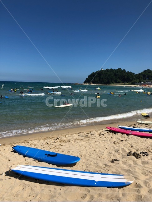 바다,서핑,해변,해수욕장,바닷가,여름,모래사장,파도