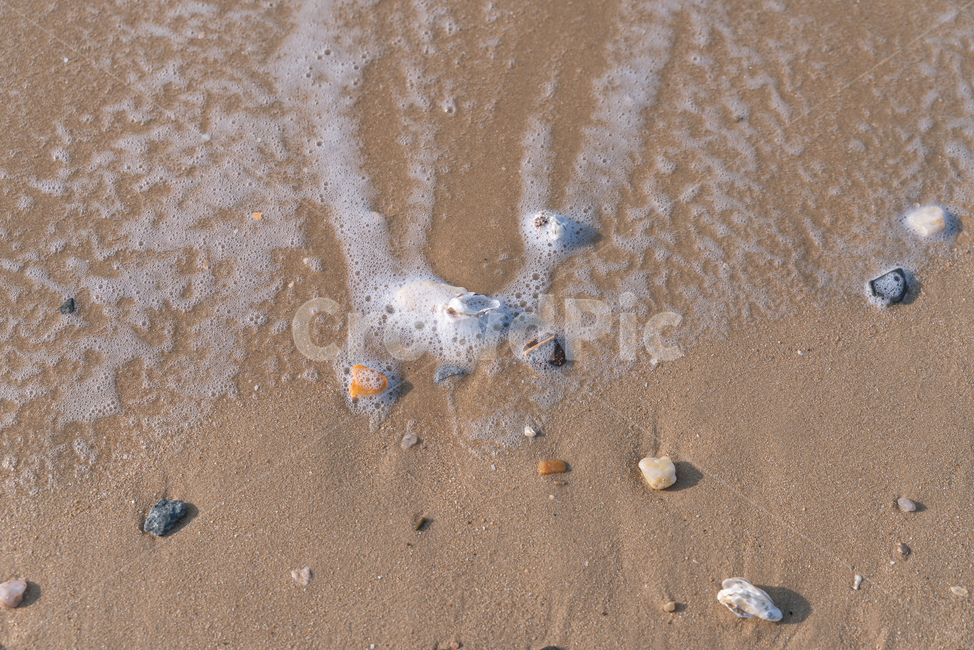 서해,바다,조개,감성,파도,해변,바다,beach,sea