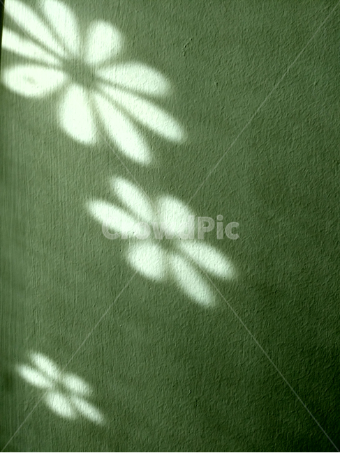 그림자,빛,그늘,양지,음지,무늬,벽,거친,패턴,pattern,rough,wall