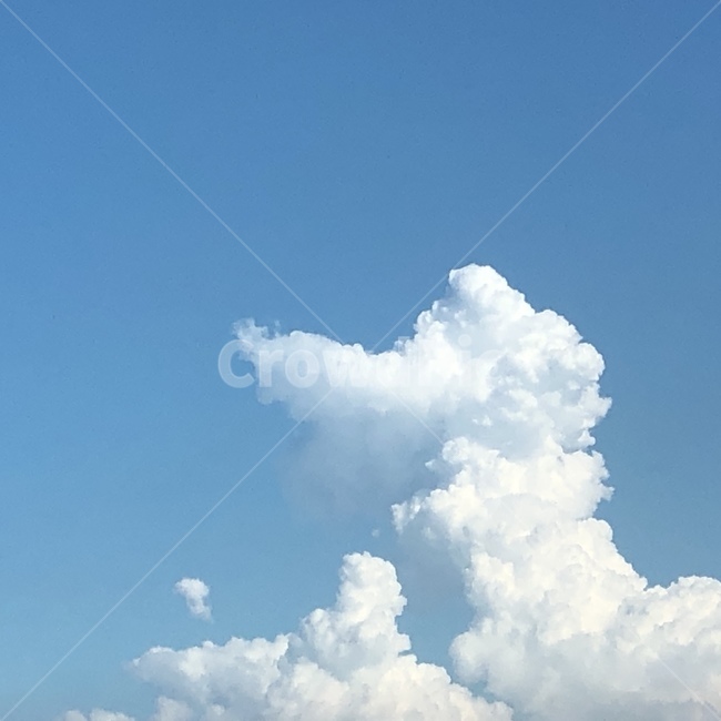 구름,cloud,sky,cumulus,weather,뭉게뭉게,하늘,파랑,자연,풍경,nature,landscape,outdoors,옥외,날씨,적운