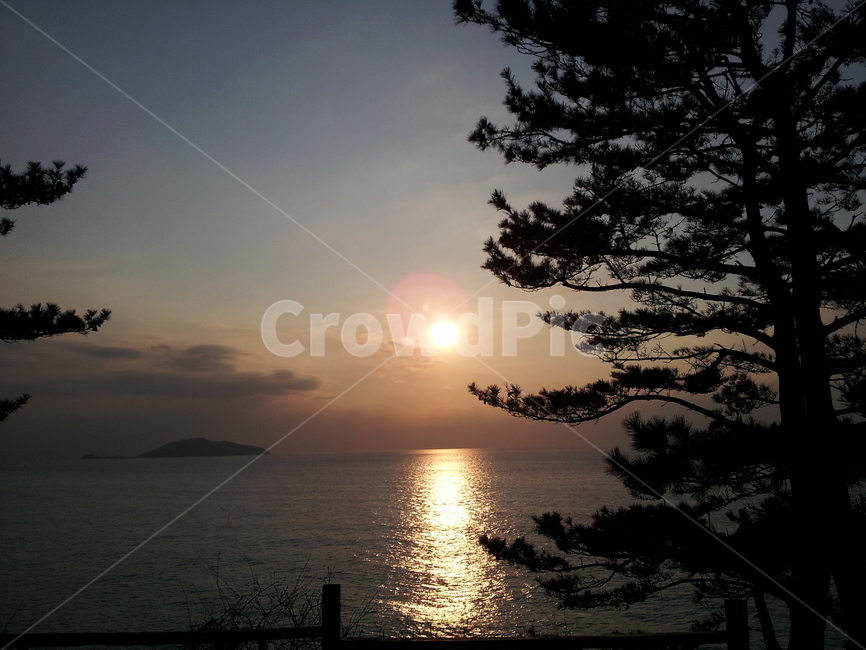 일몰,풍경,소나무,sunset,지는해