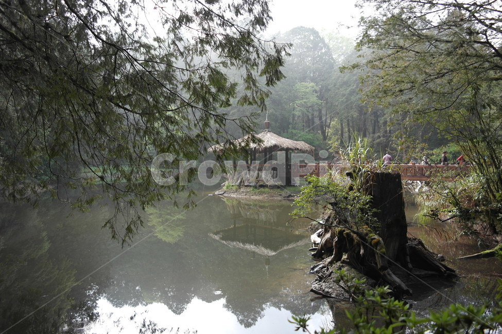 정자,연못,자연,아침,안개,호수,자연,풍경,nature,landscape,water,물,outdoors,옥외,land,땅