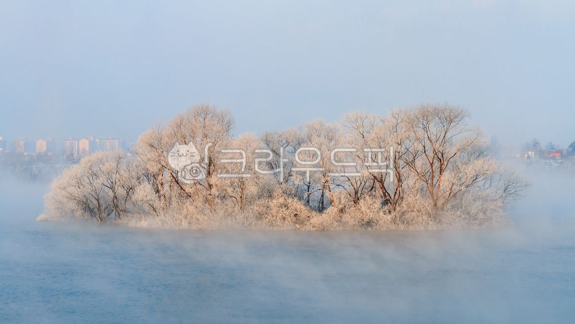 상고대,서리,눈꽃,소양강,소양호,겨울,물안개,안개,물,강,호수,추운,차가운,아침,나무,야외,실외,풍경,강원도,춘천시,춘천
