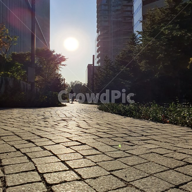 walkway,통로,sidewalk,보도,사람,아침햇살,출근길에