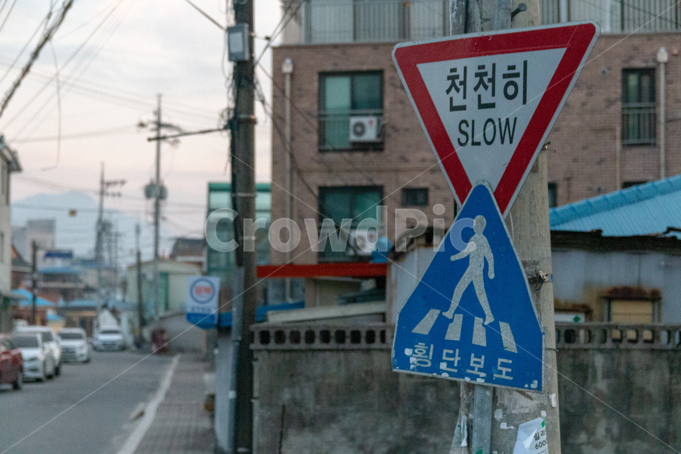 횡단보도,표지판,천천히,학교,안전,slow,등교,하교,어린이보호,시골,촌동네,빈티지사진,빈티지느낌,빈티지감성,vintage,교통,교통수단,traffic,transportation