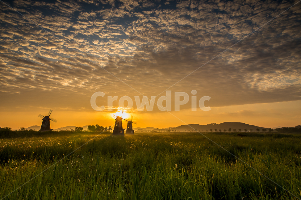 자연,풍경,일출,풍차,인천,하늘,구름,소래습지,소래습지생태공원,태양,해,nature,landscape,sunrise,sky,clouds,자연,풍경,nature,landscape,outdoors,옥외
