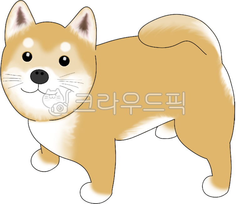 시바견,강아지,아기시바견,아기시바,시바,멍멍이,개,아기강아지,동물,귀여운동물,귀여운강아지