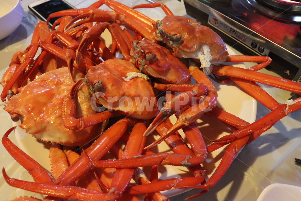 seafood,해물,food,음식,sealife,게,대게,홍게,crab