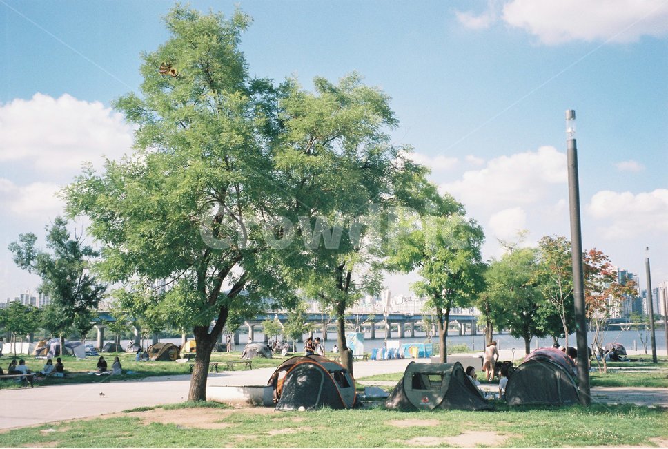 person,사람,human,인간,한강,나무,한강다리,텐트,도시,풍경,city,landscape