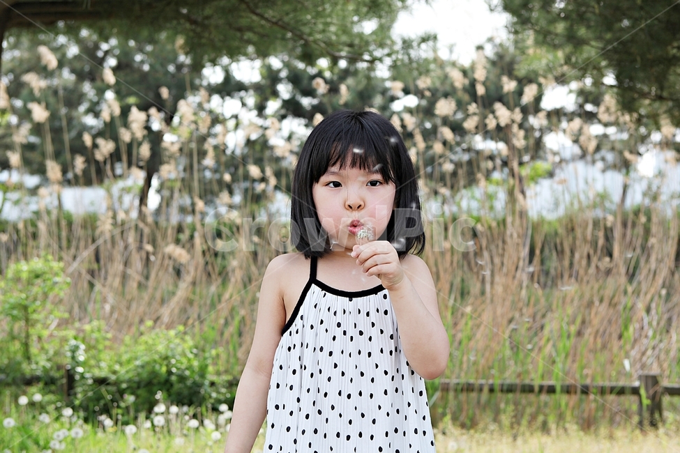 여자아이,아이,어린이,사람,풍경,배경,자연