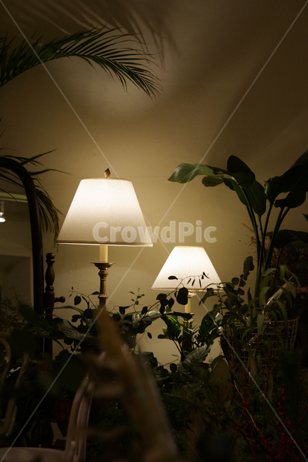 플라워카페,카페,조명,인테리어,자리,인테리어,실내디자인,interior design