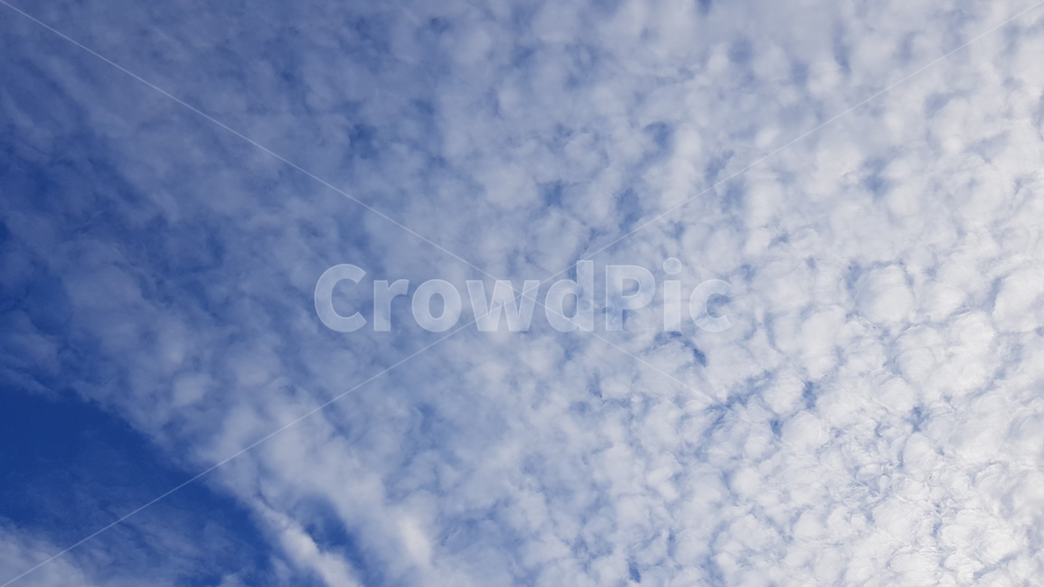 하늘,구름,파란하늘,하얀구름,sky,cloud,bluesky,뭉게구름,nature,자연,outdoors,옥외,azuresky,푸른하늘,자연,풍경,nature,landscape,azure sky,푸른 하늘