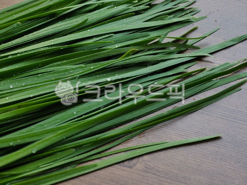 부추,유기농,유기농부추,채소,야채,음식,음식재료,녹색,chives,organic,organicleek,vegetable,food,foodingredients,green,배경,background,웰빙,웰빙음식,녹색채소,잎,잎채소,wellbeing,wellnessfood,greenvegetable,leaf,leafvegetable,식물,plant,음식,식재료,요리,food,cook,meal,dishes,food reserves,채소,야채,vegetables