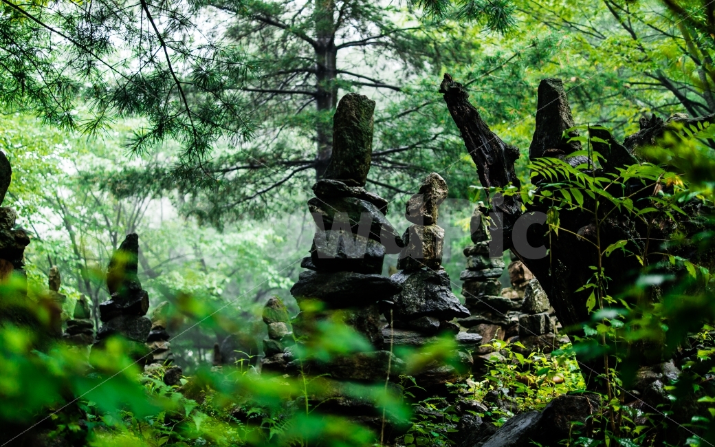 남한산성,산,수풀,숲,나무,초록색,산속,파란색,흐림,날씨,풍경,성남,자연,이끼,잎,나뭇잎,풀,여름,돌,돌탑,자연,풍경,nature,landscape,여름,계절,summer,season,휴식,힐링,rest,relaxation,healing,종교,신앙,religion,belief,faith,animal,동물,bird,새,plant,식물,vegetation,초목