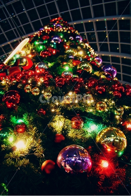 전구,전등,크리스마스,christmas,밤,night,나무,거리,겨울,winter,road,town,도시,city,트리,방울,화려,산타,겨울,계절,winter,season,야경,밤,풍경,nightscape,night,landscape,나무,trees,wood,기념일,축하,anniversary,congratulation,celebrate,celebration,메리크리스마스,성탄절,merry christmas,tree,plant,식물,christmas tree,크리스마스 트리,ornament,장식,lighting,조명