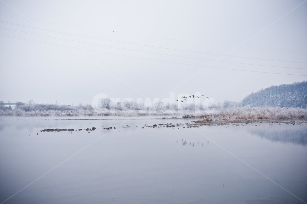 상고대,춘천,안개,설경,고요한,자연,풍경,nature,landscape,outdoors,옥외,snow,눈,bird,새,animal,동물