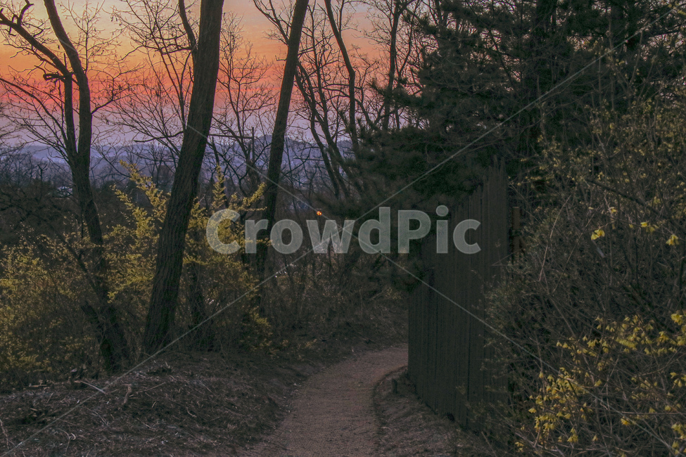 노을,산책로,등산로,산책길,일출,sunset,magichour,매직아워,해넘이,해돋이,산,북악산