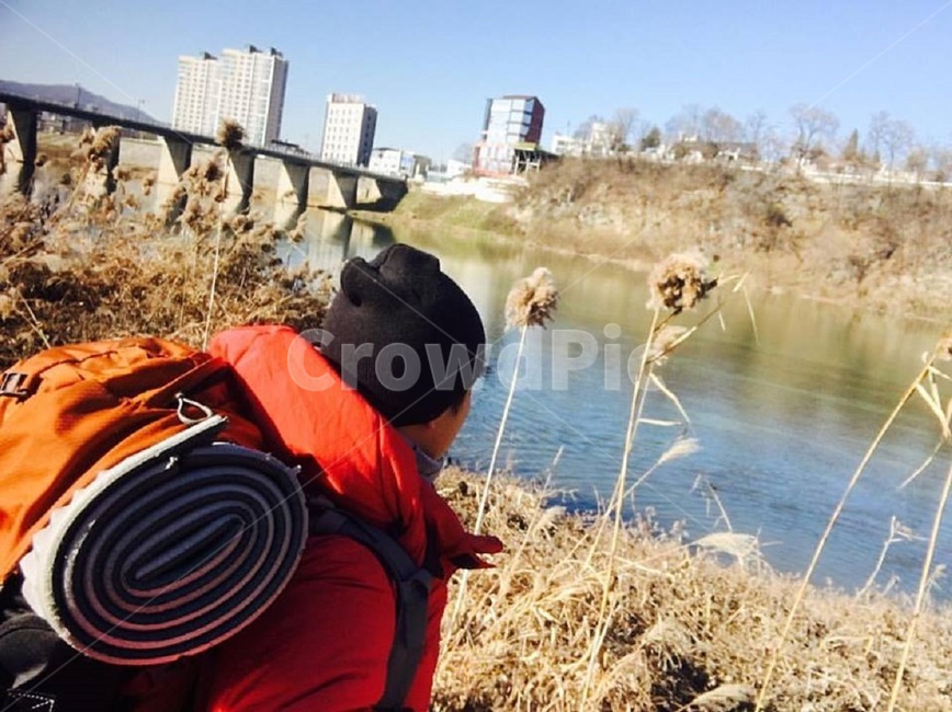 배낭여행,여행,배낭,갈대밭,영월,금강,한국,도시