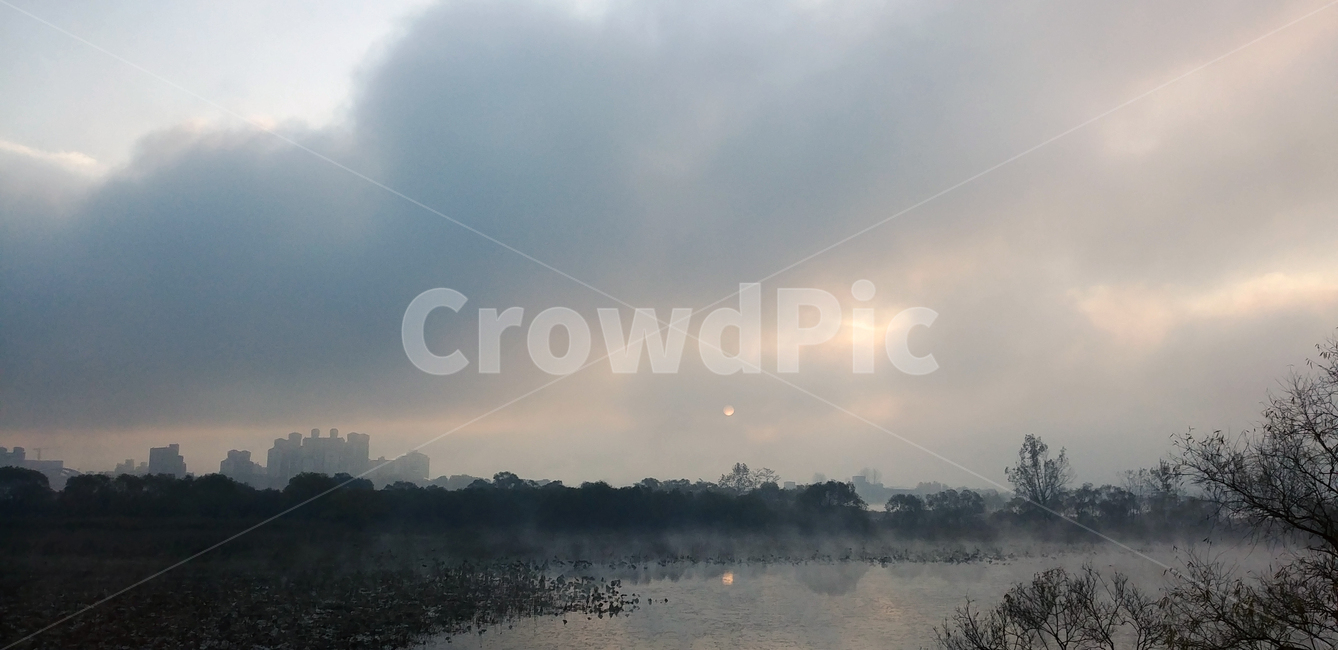 물안개,안개,물의정원,남양주,일출,아침,자연,풍경,nature,landscape,outdoors,옥외,weather,날씨