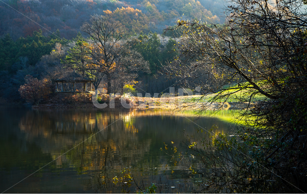 호수,가을,반영,투영,풍경,계절,단풍,나무,숲,가을,계절,fall,autumn,season,자연,풍경,nature,landscape,water,물,outdoors,옥외