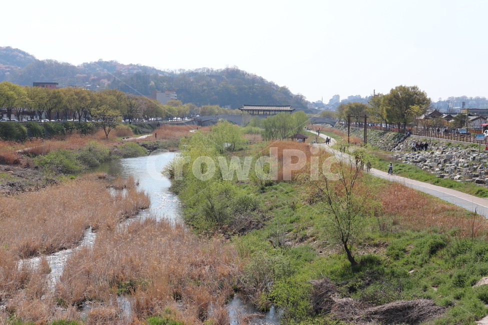 전주,전주한옥마을,봄,전통한옥,대한민국