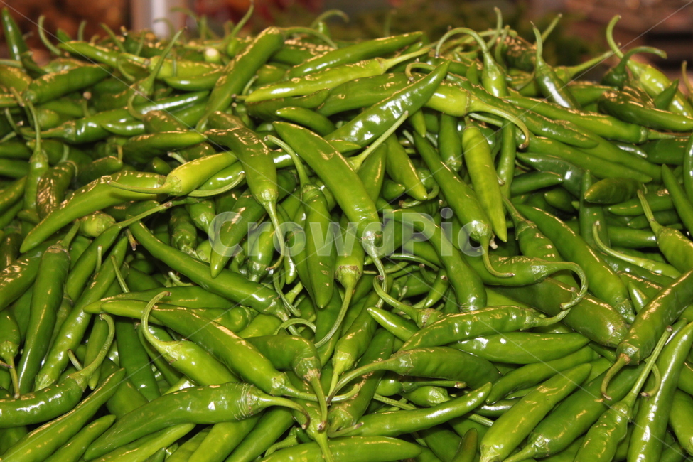 고추,매움,녹색,야채,채소,pepper,spicy,green,color,vegetable,ingredient,음식,재료,food,풋고추,음식,식재료,요리,food,cook,meal,dishes,food reserves