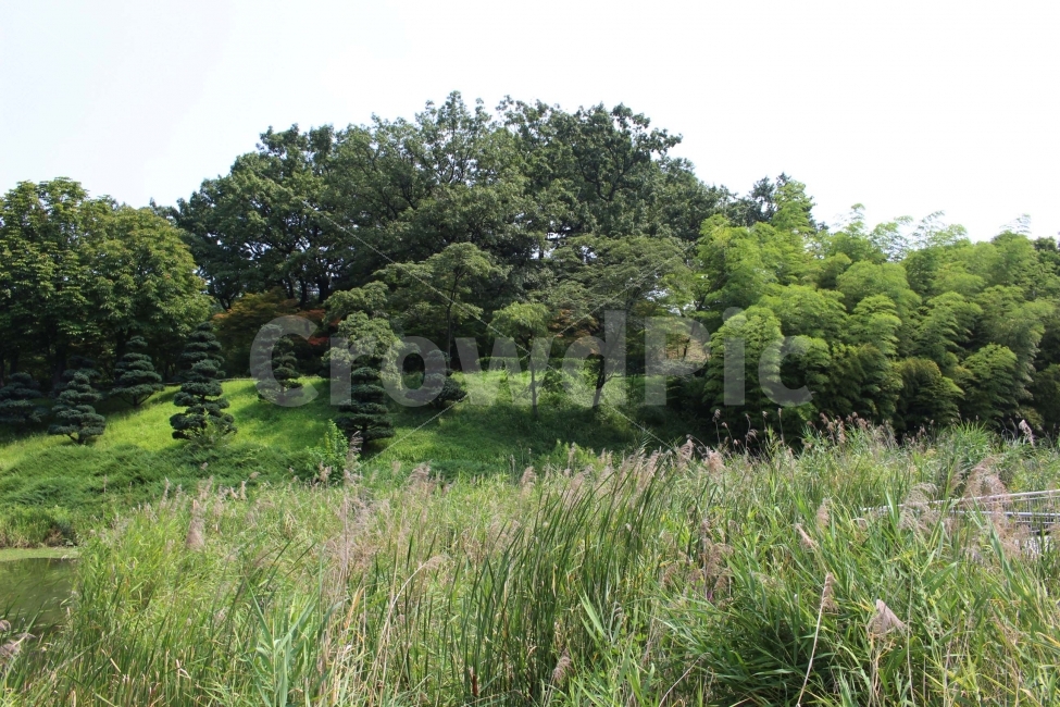 하늘,나무,자연,야외,공원,정원,풍경,자연,풍경,nature,landscape,tree,plant,식물,grassland,목초지,field,들,outdoors,옥외