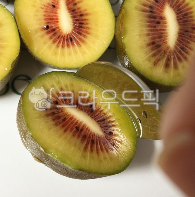 키위, kiwi, 음식, food, 과일, 사진,이미지,일러스트,캘리그라피 - ahahah작가