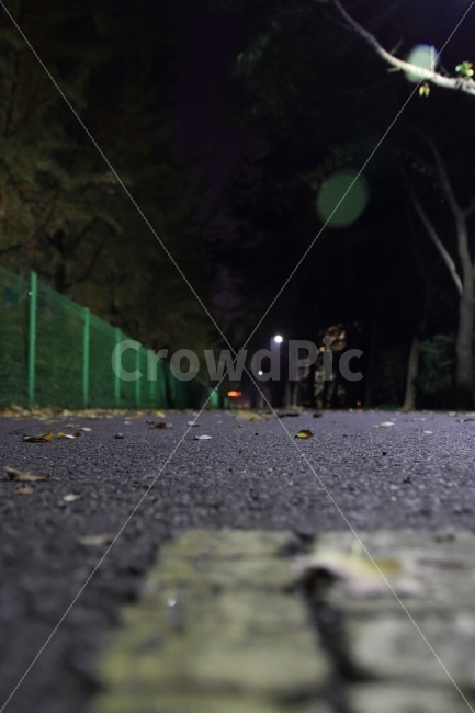 길바닥,가을,동네,거리,낙여,야경,밤,풍경,nightscape,night,landscape,asphalt,아스팔트