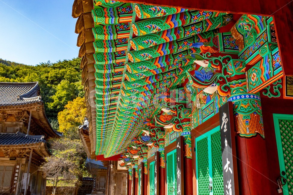 한옥,절,화엄사,구례,가을,기와,불교,단풍,한국전통,한국문화,korean traditional,korean culture,건축물,건물외관,exterior,building,structure,architecture,construction