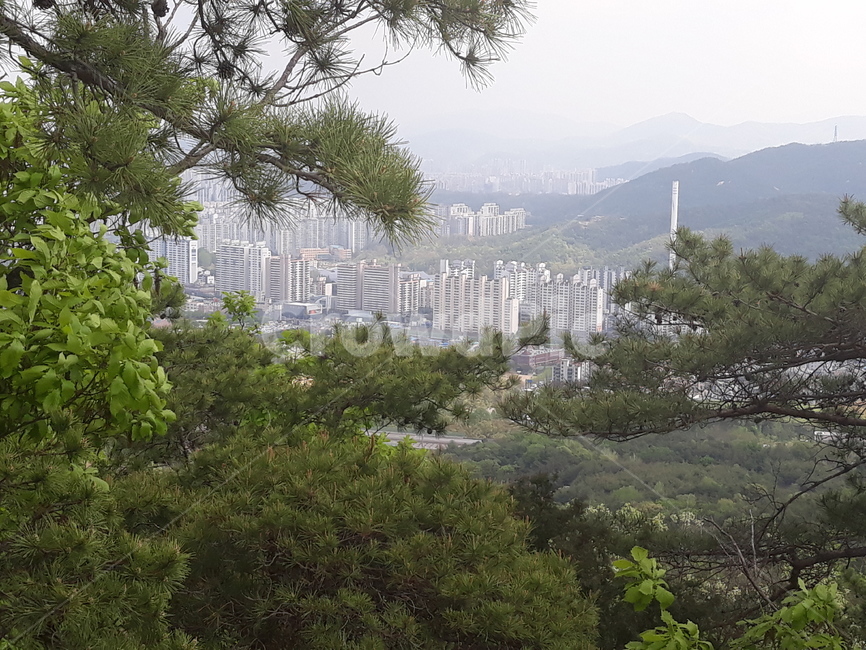 산,바위,도심,정상,미세먼지,도시,풍경,city,landscape,plant,식물