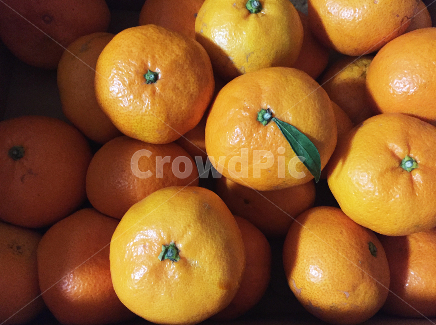 귤,과일,겨울과일,음식,건강,비타민,음식,식재료,요리,food,cook,meal,dishes,food reserves,과일,열매,fruit