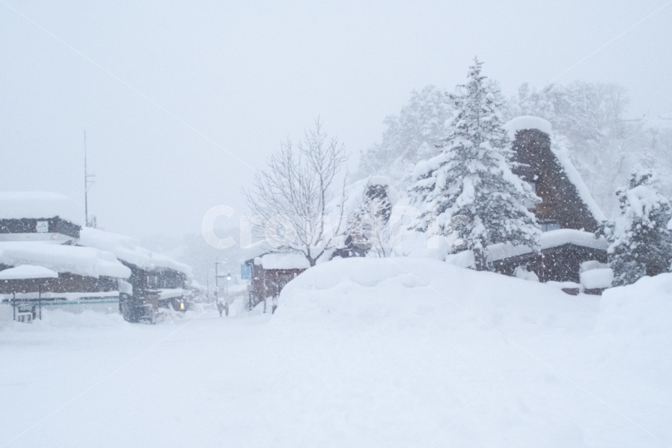 winter photography,japan,winter,snowing,scenery,Japanese photos,view,emotional photography,Japan travel,Japanese emotion,nagoya,pretty photos,Nagoya,Japan,emotion,snow,dakayama,snow photography,Takayama,snowing photos,sirakawago,winter scenery,Shirakawago