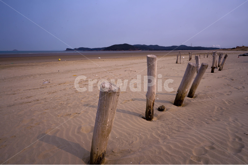 해변,바닷가,모래,사구,모래밭,말뚝,풍경,자연,풍경,nature,landscape,해변,바다,beach,sea,wood,나무,ground,바닥,soil,흙