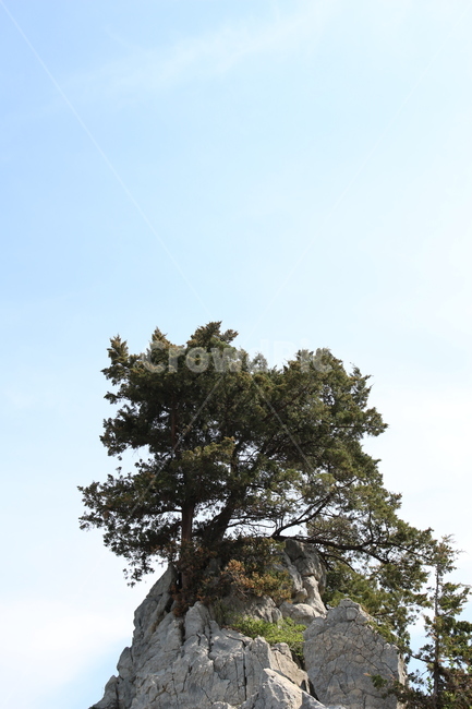 바위,하늘,바다,추상,돌,동해,강릉,촛대바위,해변,추암,나무,자연,풍경,nature,landscape,outdoors,옥외,tree,plant,식물