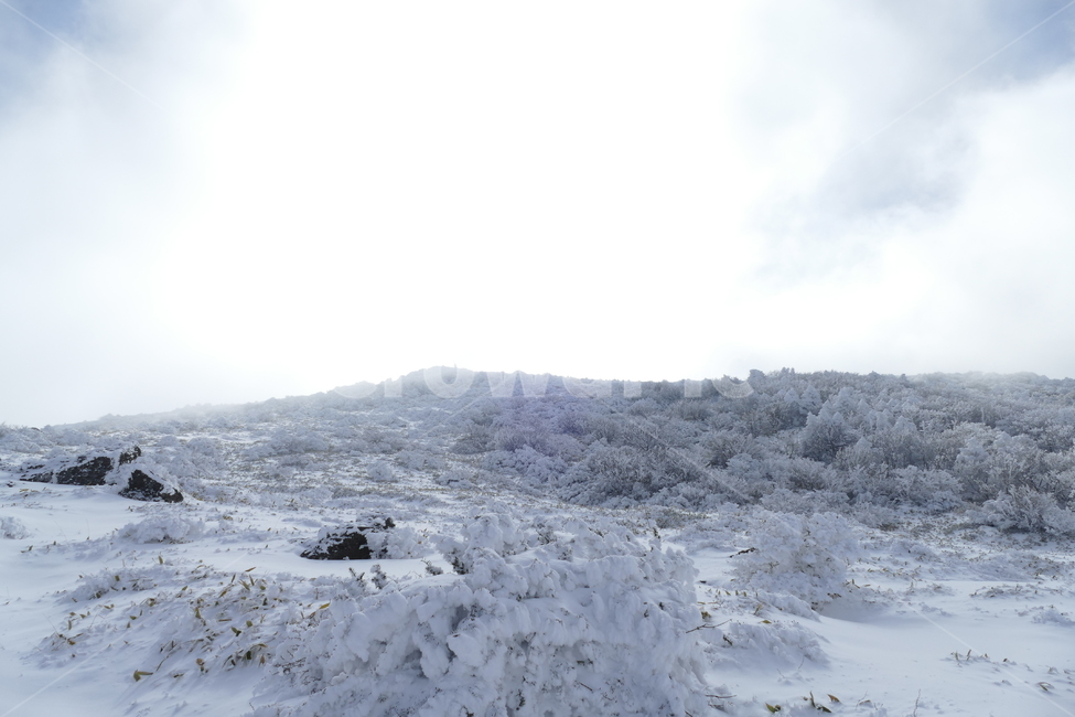 한라산,겨울산,설산,눈내린산,눈꽃,겨울,계절,winter,season,자연,풍경,nature,landscape,outdoors,옥외