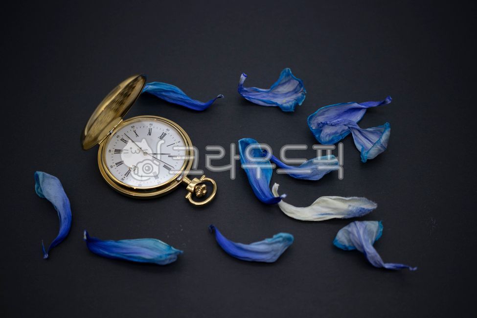 petal,hour,watch,time,clock,dry petals