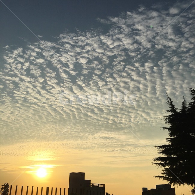 노을,구름,분위기,배경,하늘