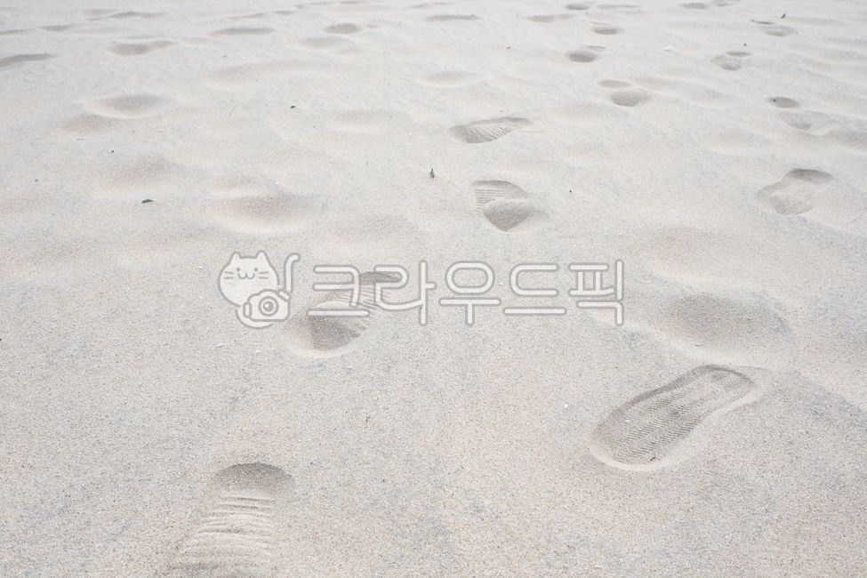 Beach,footprint,links,footsteps