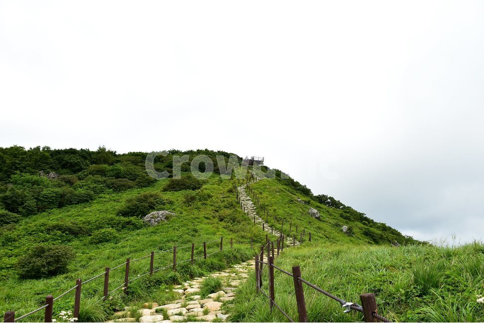 소백산,풍경,초록,자연,여름,경치,비경,등산,산행,힐링,아름다운,계절,명산,국립공원,nature,landscape,능선,자연,풍경,nature,landscape,outdoors,옥외,hill,언덕