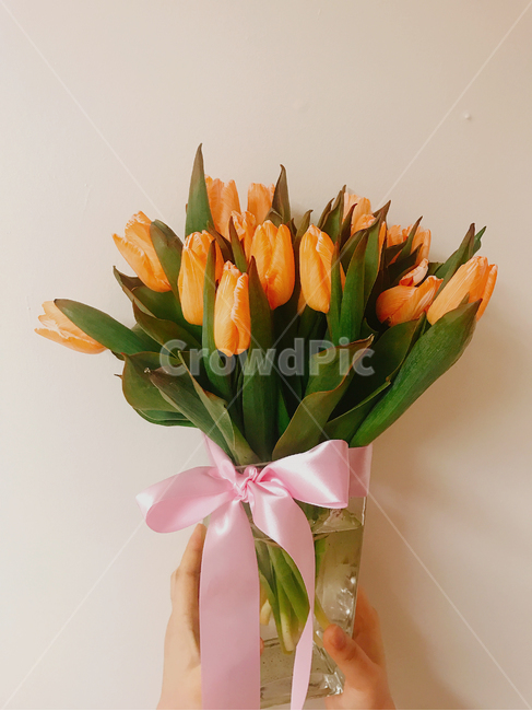 튤립,꽃다발,꽃병,꽃,flower,tulip,리본,주활색