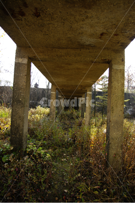 콘트리트,기둥,잡초,식물,풀,건축물,건물외관,exterior,building,structure,architecture,construction
